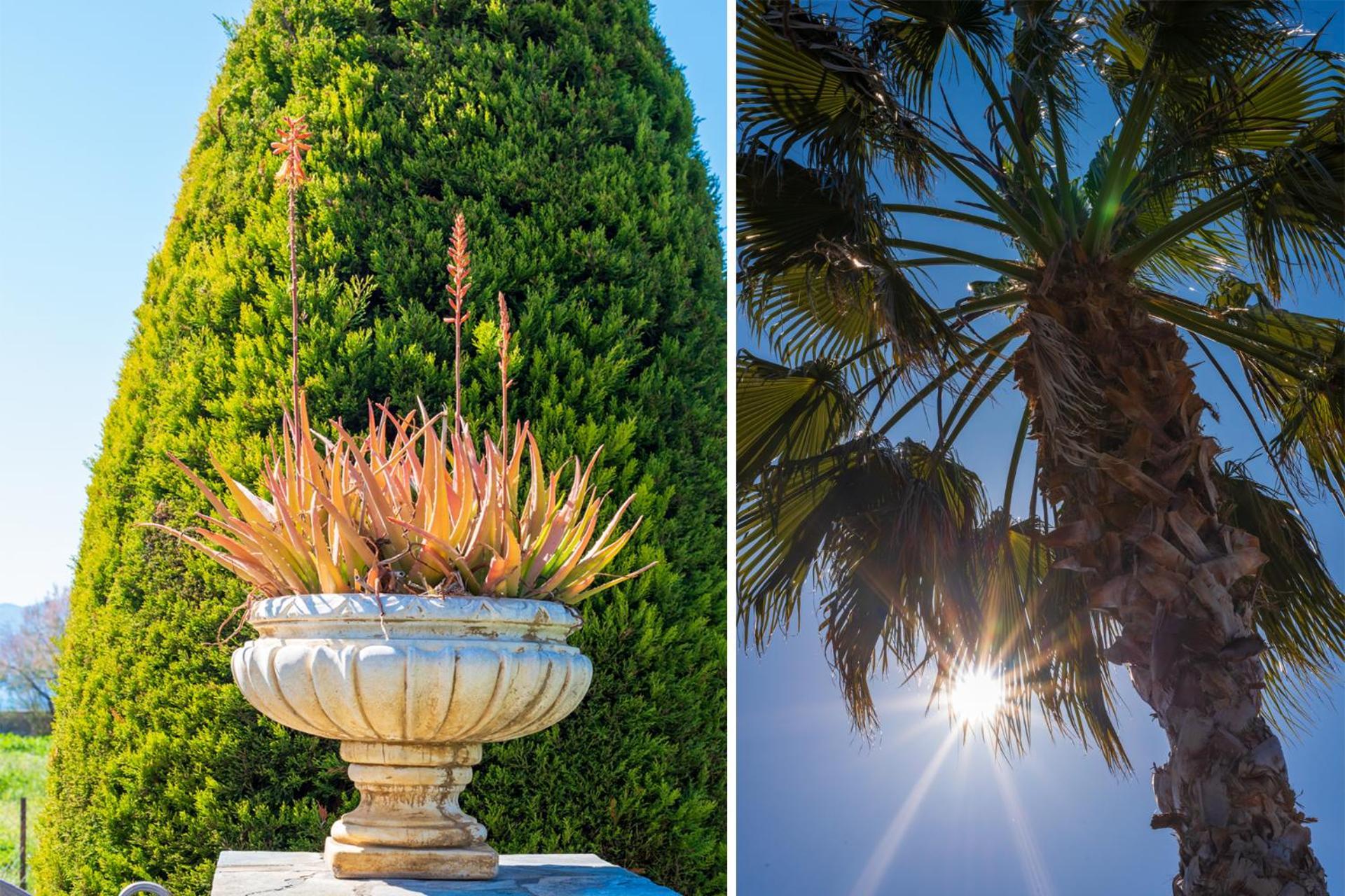 شقة Christina'S Twin Palm Trees House أغريا المظهر الخارجي الصورة